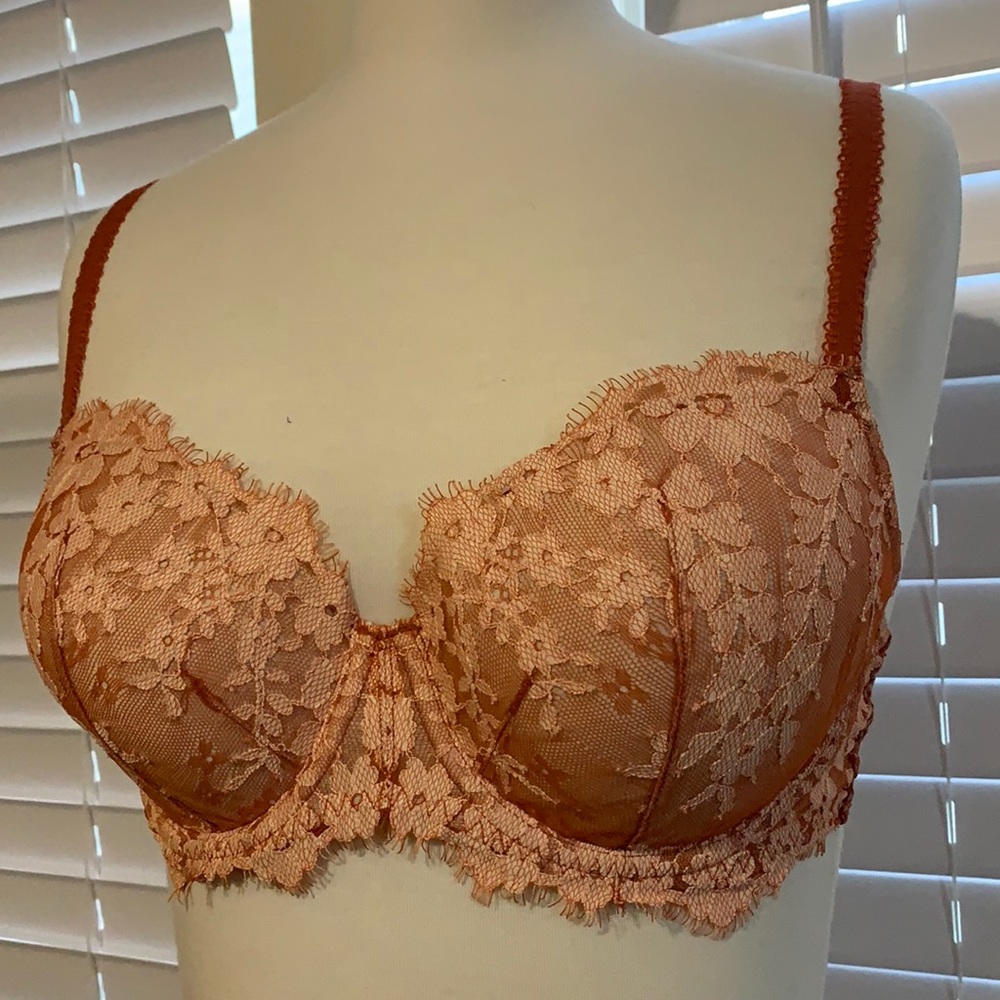 Burnt orange lace bra